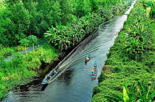 Sông Trẹm ở Việt Nam được xếp loại quý hiếm  bậc nhất thế giới, có màu nước thay đổi theo mùa- Ảnh 1.